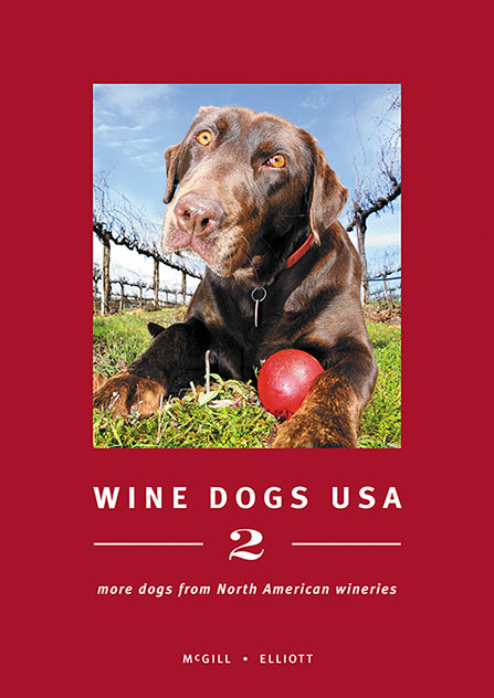 Wine Dogs USA 2