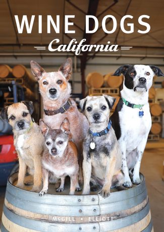 Wine Dogs California 6